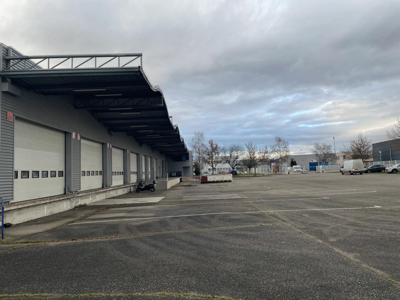 Local d'activité Souffelweyersheim 2994m² Location local d'activité Souffelweyersheim Bas-Rhin OLACT2311048 13
